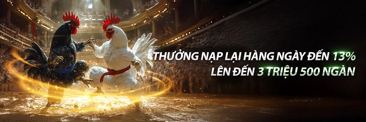 Cập nhật tin tức mới nhất từ rik88 app