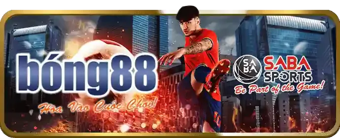 Đường dây nóng rik88 app
